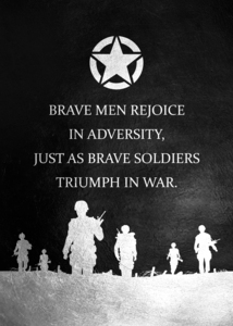 Brave In Adversity Motivational Wall Art