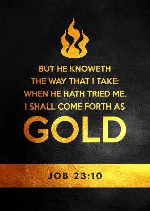 Job 23:10 Bible Verse Wall Art