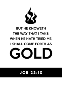 Job 23:10 Bible Verse Wall Art