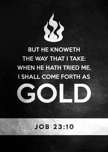Job 23:10 Bible Verse Wall Art