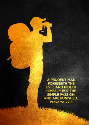Proverbs 22:3 Bible Verse Wall Art