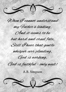 ab simpson only wait silver