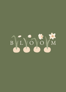 bloom
