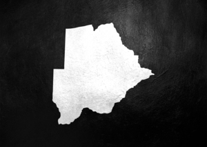 Botswana Silver Map Wall Art