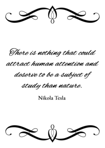 study of nature plain