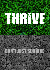 Thrive Motivational Wall Art