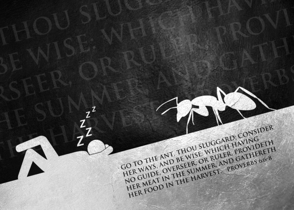 Proverbs 6:6-8 Bible Verse Wall Art by ABConcepts
