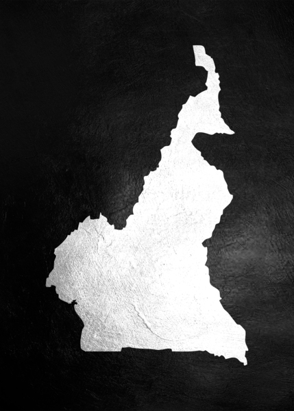Cameroon Silver Map Wall Art Digital Download