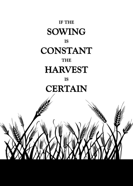 constant sowing plain by ABConcepts