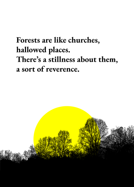 forests 2 by ABConcepts