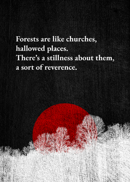 forests silver by ABConcepts