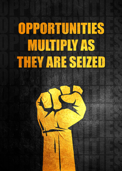 Seize the Opportunity Motivational Wall Art