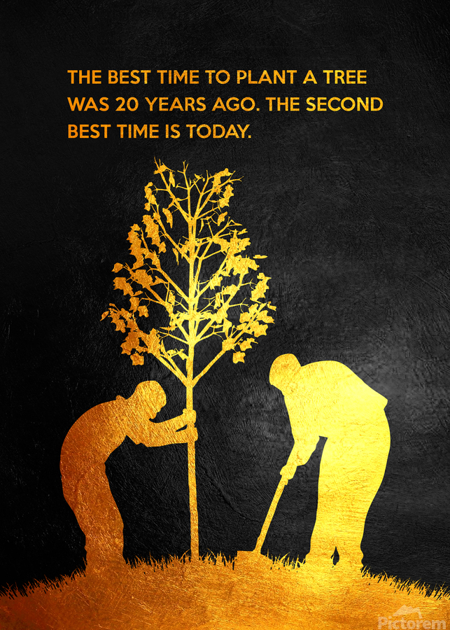 The best time to plant a tree was 20 years ago. The second best time is  now. Chinese Proverb Motivational Wall Art by ABConcepts Wall Art