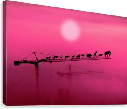 Dying Breed Canvas Print