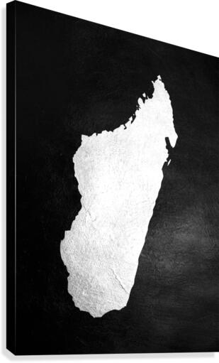 madagascar silver Canvas Print