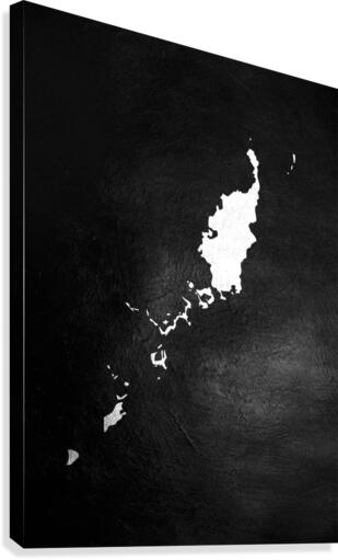 palau silver Canvas Print