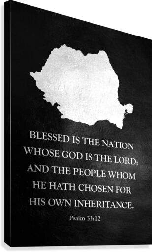 romania silver 2 Canvas Print