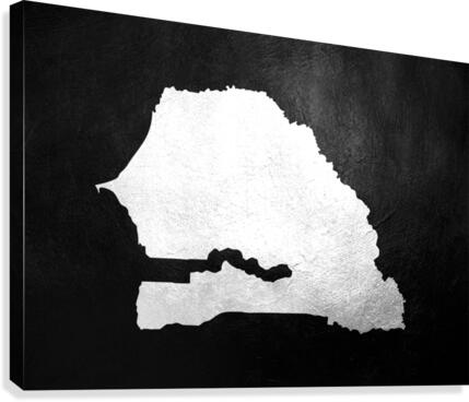 senegal silver Canvas Print