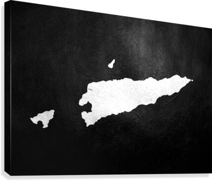 timor leste silver Canvas Print