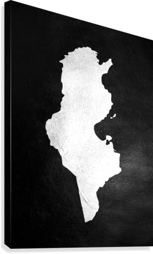 tunisia silver Canvas Print
