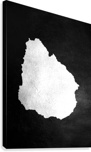 uruguay silver Canvas Print