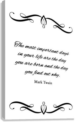important days plain Canvas Print
