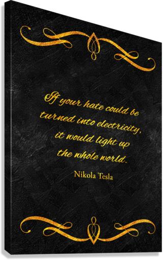hate and electricity Canvas Print