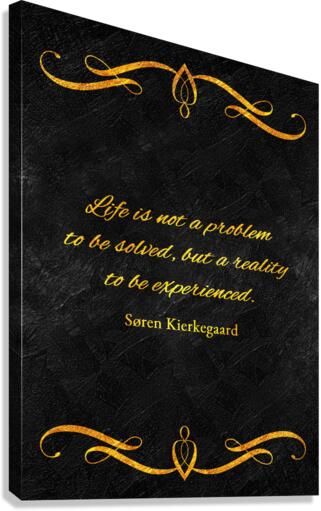 experience life Canvas Print