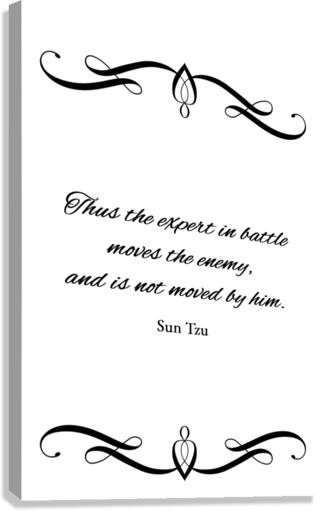 move the enemy Canvas Print