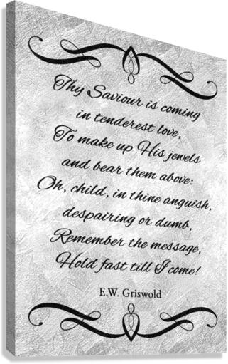 remember the message silver Canvas Print