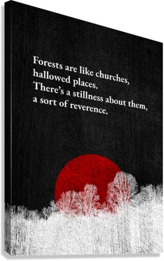 forests silver Canvas Print