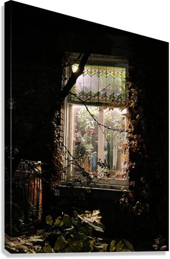 Promenade solitaire  Canvas Print