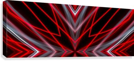 Neon Lights  Canvas Print