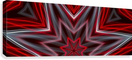 Neon Lights  Canvas Print
