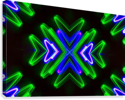 Neon Lights  Canvas Print