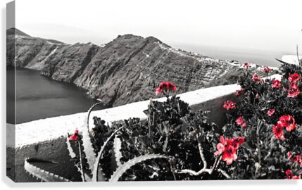 Red Roses Canvas Print