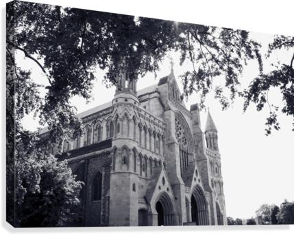 The Cathedral Canvas Print