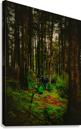 Alaskan Forest Canvas Print