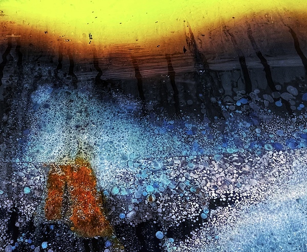 IMG 5837 by Kristina Durward