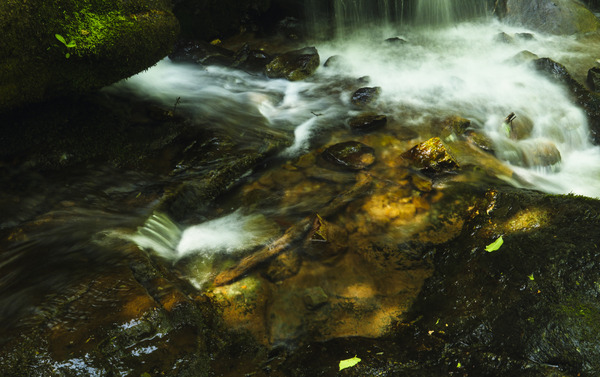 Shenandoah National Park Print