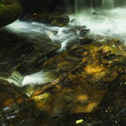Shenandoah National Park