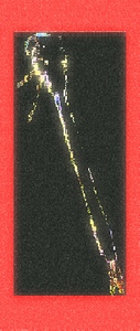 Glitched dragon fly 