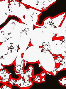 Abstract wild crab apple 