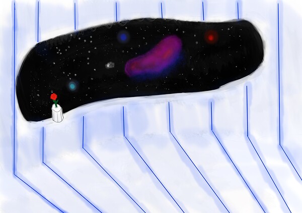 space station Print