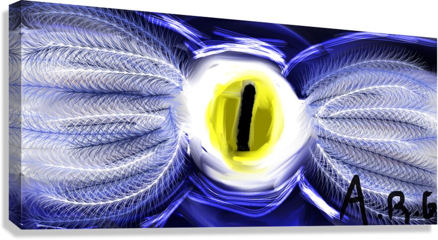 Flying eye  Canvas Print