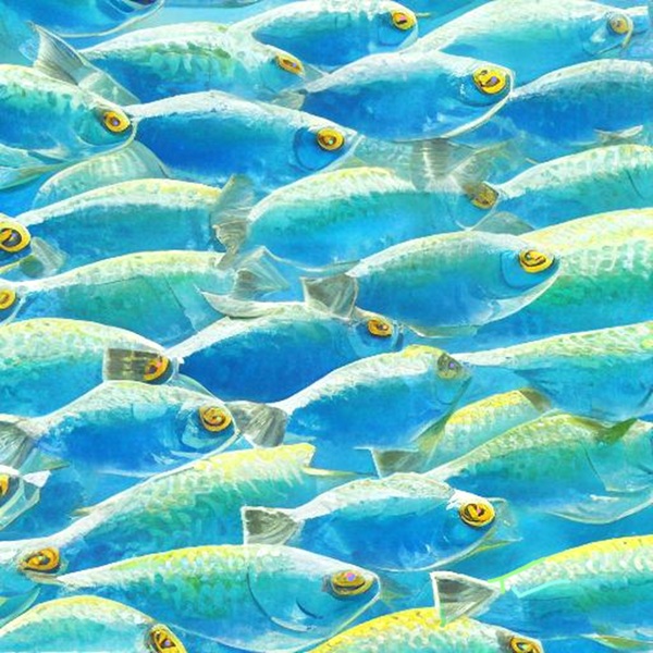 Smart fish Print