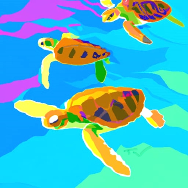 light turtles Print