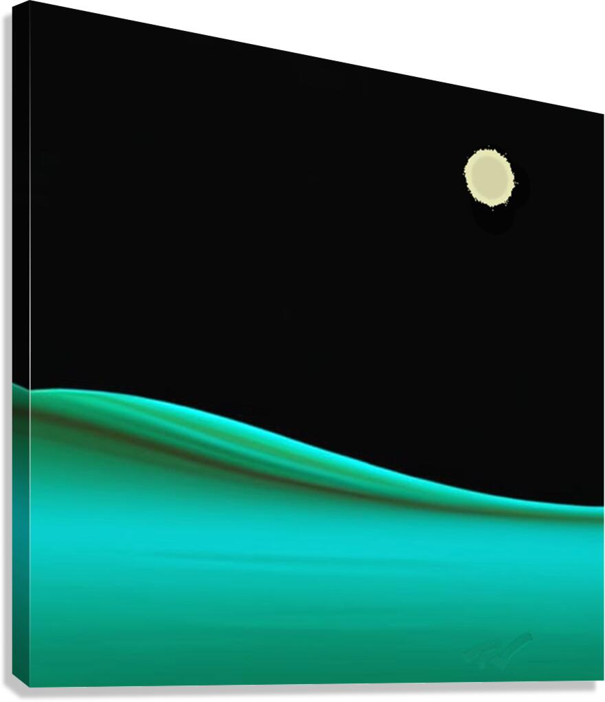 NIGHT DIVE  Canvas Print