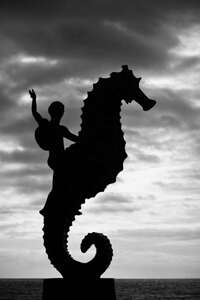 Seahorse silouette