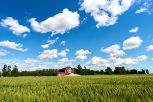  Prairie barn sky